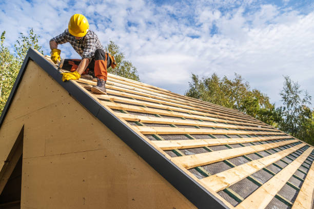 Best Roof Gutter Cleaning  in Des C, AR